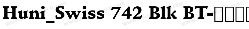 Huni_Swiss 742 Blk BT字体转换